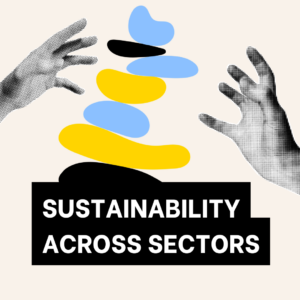 Link tile with the Fellowship title 'Sustainability across Sectors' and an abstract graphic of an unstable tower of colourful pebbles, with black and white images of hands reaching up to stabilise it.